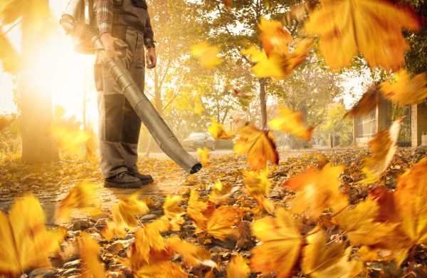 Cost of Leaf Blowing Service in Riverview