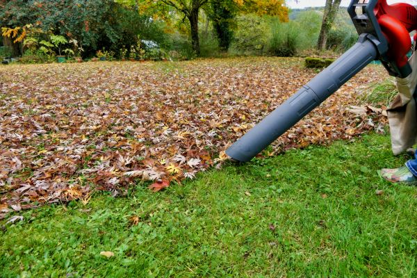 Cost of Leaf Vacuuming Service in Riverview