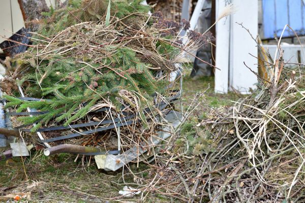 Cost of Yard Debris Removal in Riverview