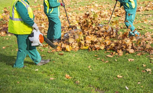 Cost of Leaf Maintenance in Riverview