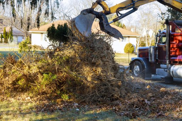 Cost of Storm Debris Removal in Riverview