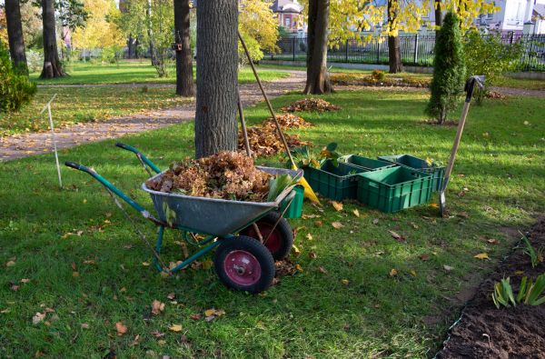 Cost of Leaf Clearing Service in Riverview