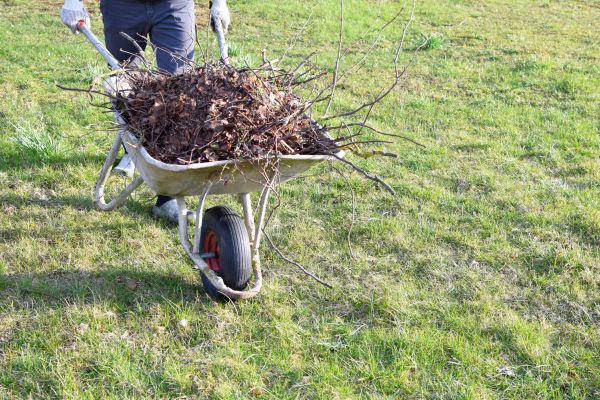 Cost of Yard Brush Removal in Riverview