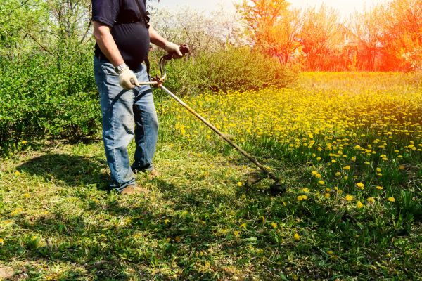 Cost of Yard Clearing Service in Riverview