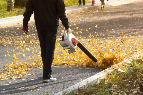 Cost of Commercial Leaf Removal in Riverview
