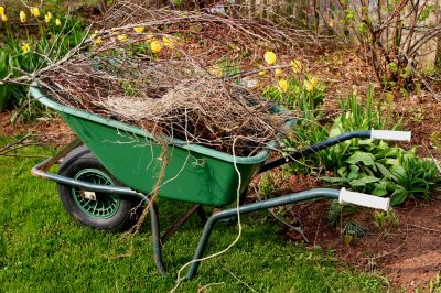 Lawn debris removal in spring