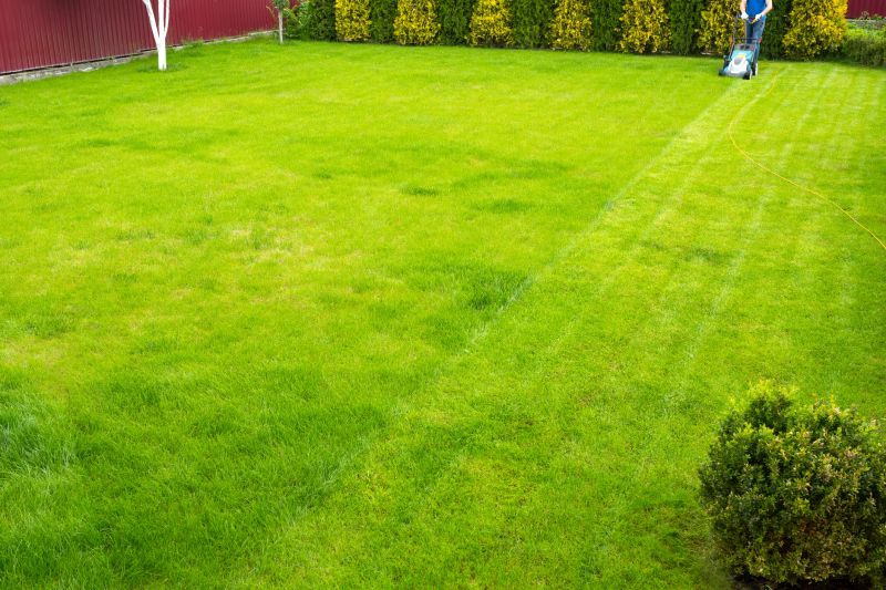 Finished Lawn After Clean Up