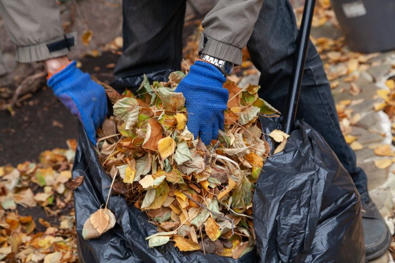 Leaf Disposal Service