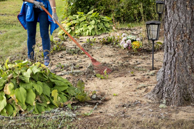 Local Landscaping Companies